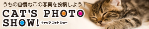 うちの自慢猫を投稿しよう！　うちの自慢猫を投稿しよう！　キャッツ・フォト・ショー！